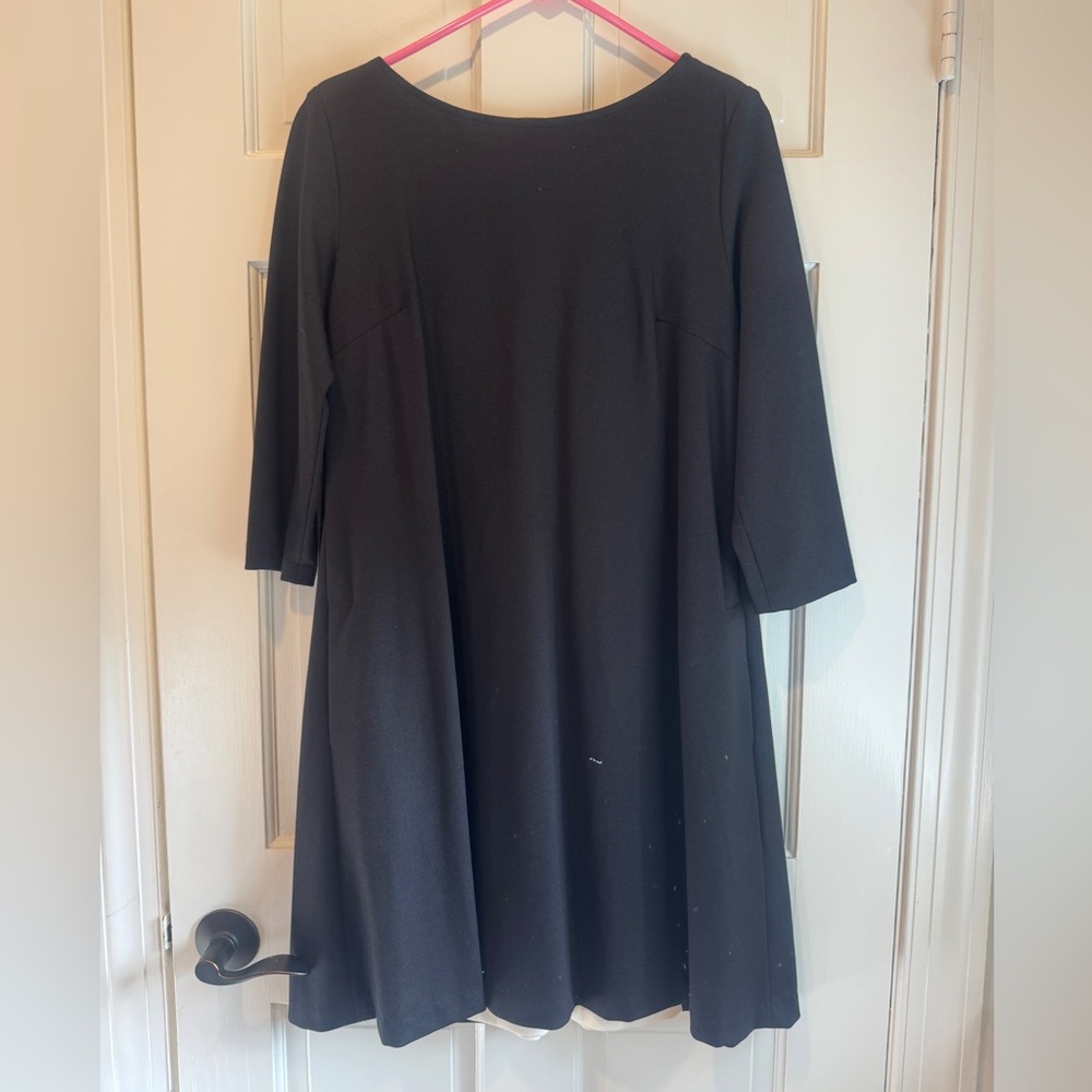 Sara Campbell Classic Black Mini Dress with White Pleated Back